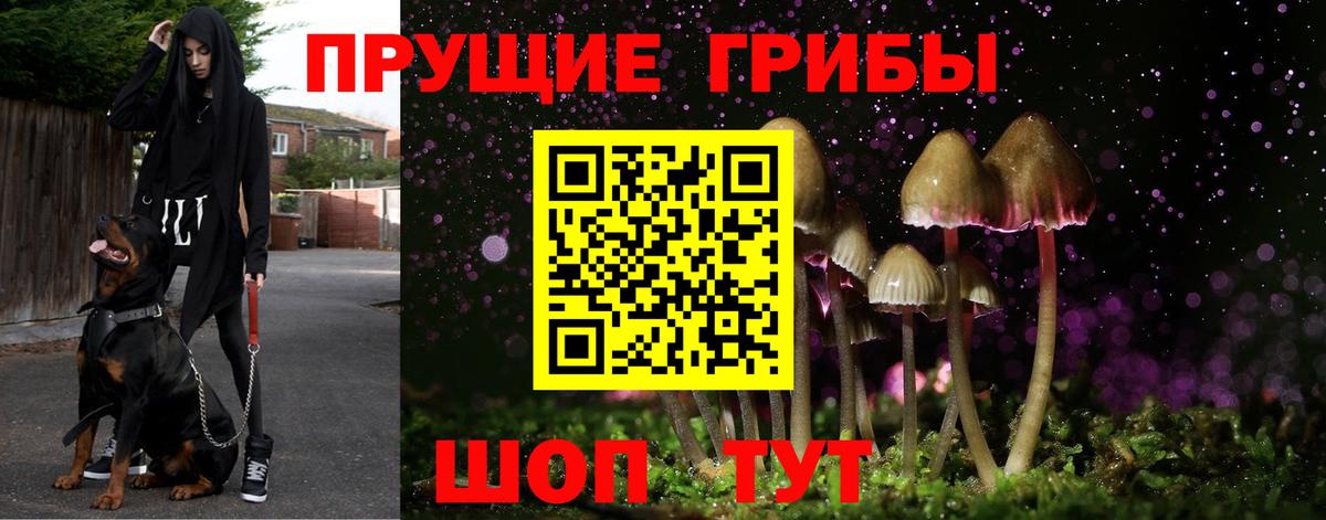 Псилоцибиновые грибы ЛСД  Вход с VPN  Рязань  Галлюциногенные грибы GOLDEN TEACHER 